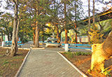 Территория детского лагеря «Ласпи»